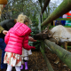Christmas Woodland Wonderland