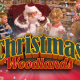 Christmas Woodland Wonderland