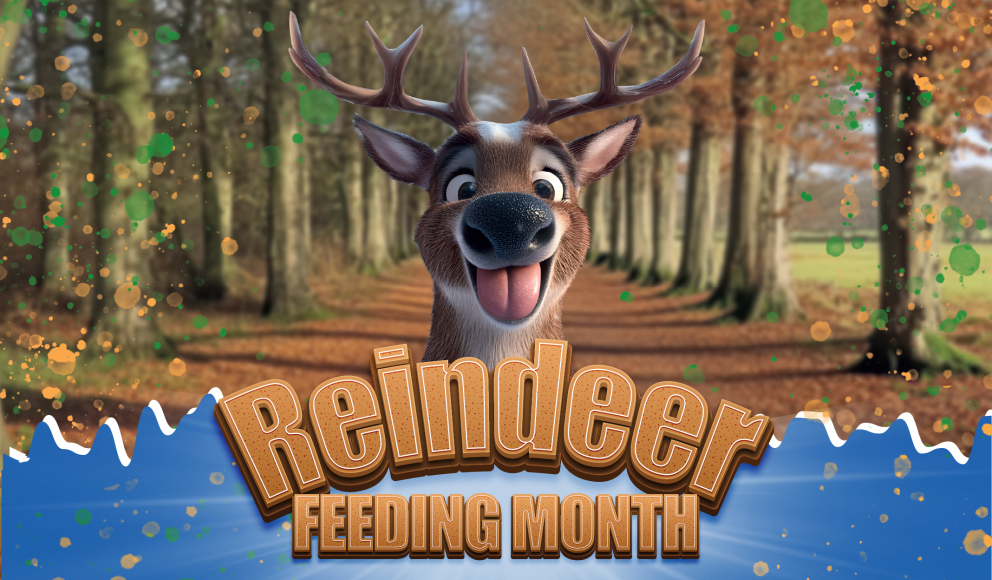 Reindeer Feeding Month 2025