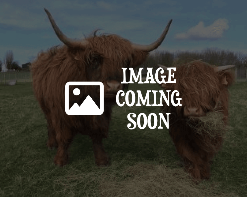 Image coming soon