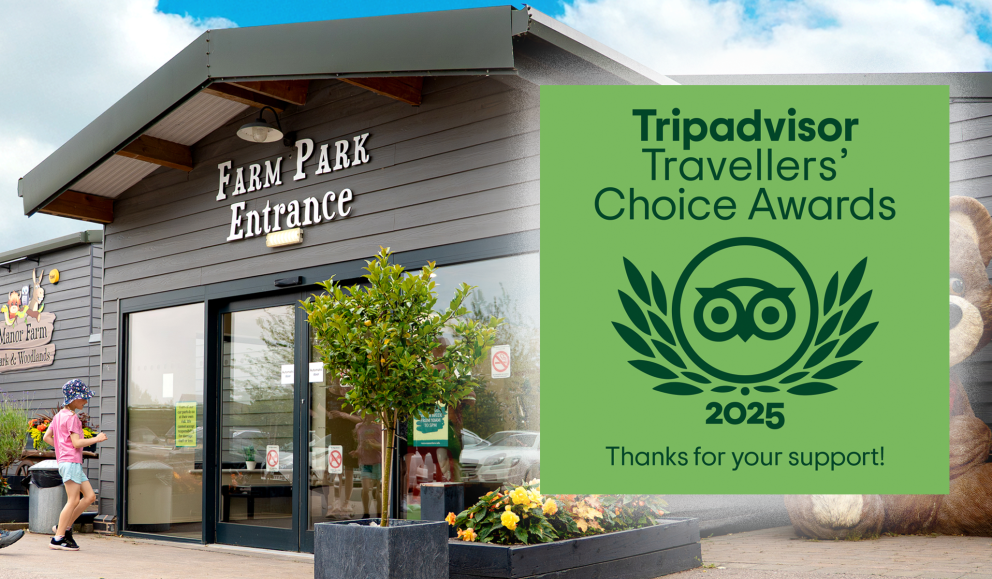 Tripadvisor Travellers Choice Award 2025